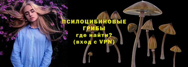 ешки Медвежьегорск