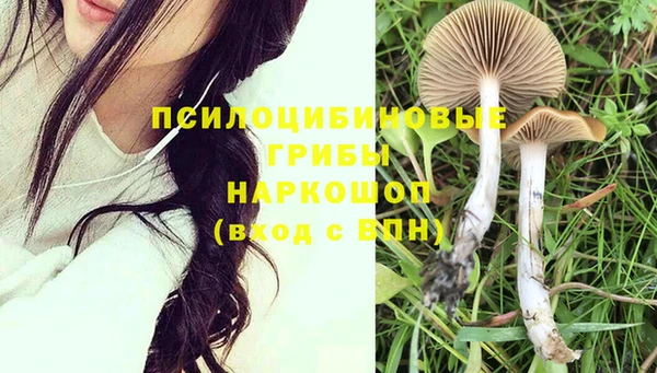 герыч Медногорск
