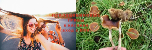 ешки Медвежьегорск