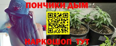 дживик Можга