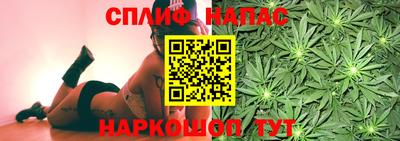 дживик Можга