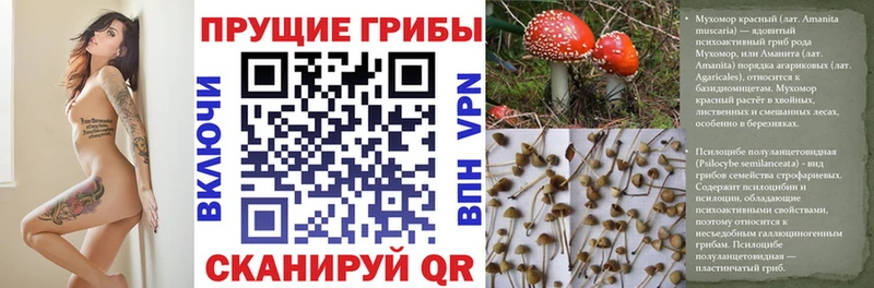 сколько стоит  Рассказово  Галлюциногенные грибы Magic Shrooms 