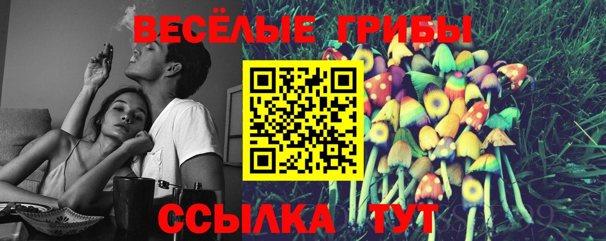 Рассказово  где купить наркоту  Вход с VPN  Псилоцибиновые грибы Psilocybine cubensis 